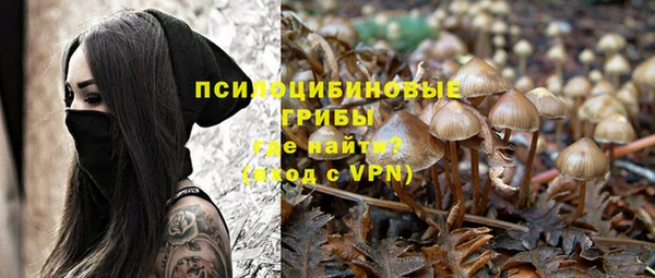 прущая мука Белокуриха