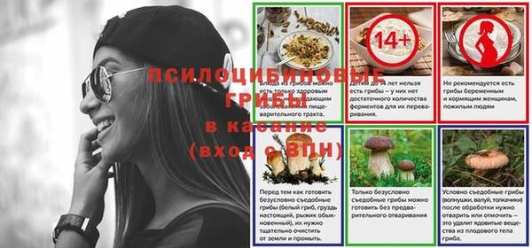прущая мука Белокуриха