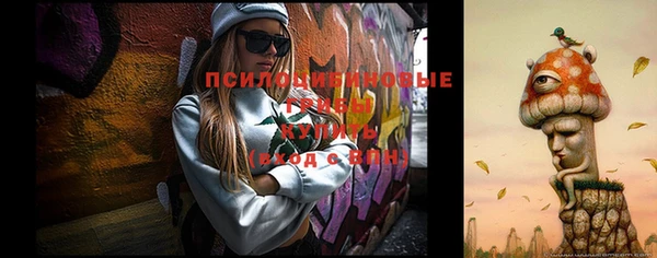 таблы Богородицк